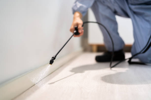 Licensed Mosquito Control service in McAllen, TX - Show Me Pest Control