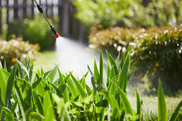 24/7 Emergency Mosquito Control experts in McAllen, TX