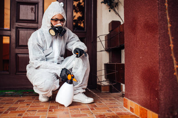 Reliable Mosquito Control contractor in McAllen, TX by Show Me Pest Control