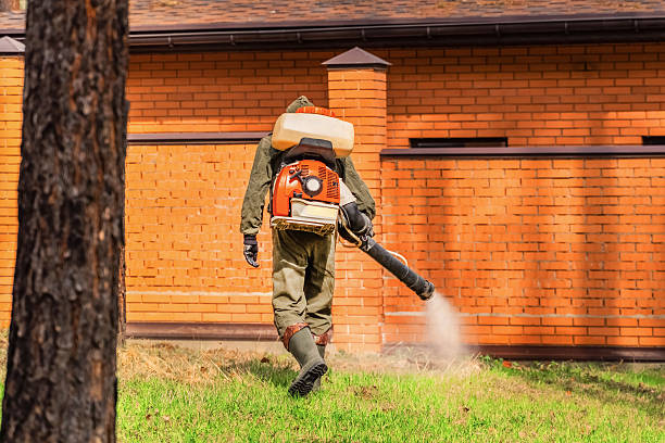 Top rated local Mosquito Control specialists in McAllen, TX